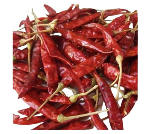 Piece 100 Percent Pure And Organic A Grade Spicy Raw Dried Red Chilli