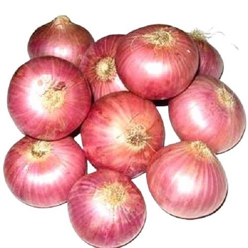 Antioxidant Round Shape Naturally Grown Raw Red Onions