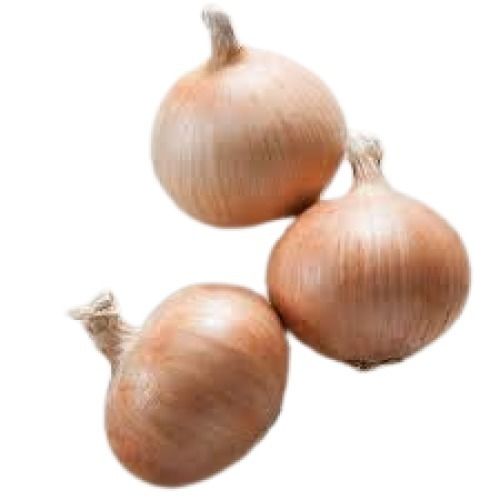 Brown Round Shape Naturally Grown Fresh Onion