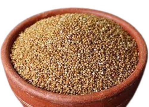 Common Cultivated Medium Size Hard Dried 100% Pure Barnyard Millet