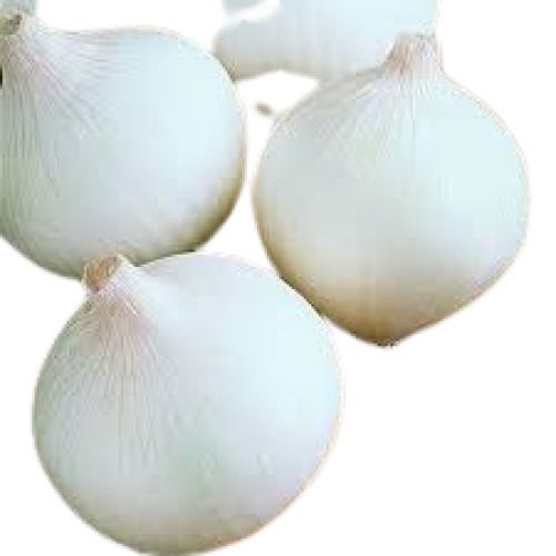 Healthy And Fresh White Onion  Preserving Compound: Dry Places