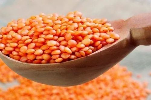 High In Protein Organic Red Lentil Masoor Dal For Cooking Use