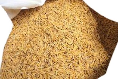 Indian Origin Dried Long Grain Brown Paddy Rice