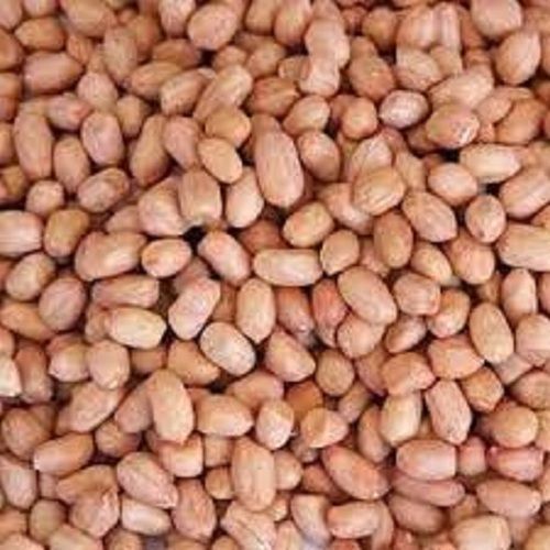 Indian Origin Healthy Brown Dried Peanut