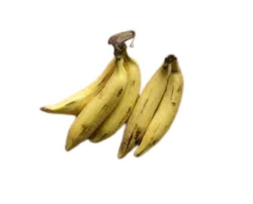 Indian Origin Long Shape Sweet And Healthy Yellow Nendran Banana