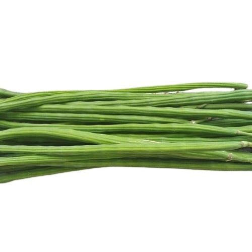 Naturally Grown Farm Fresh Long Shape Raw Green Drumstick Preserving Compound: Dry Place