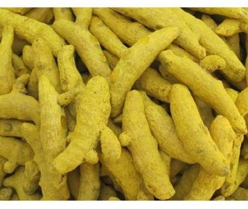 Yellow Pure And Natural Dried Whole Turmeric Finger