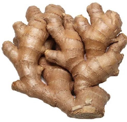 Raw Fresh Ginger With 83% Moisture Preserving Compound: Dry Place