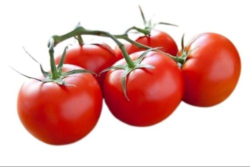 Red Round Naturally Grown Tasty Tomatoes Preserving Compound: Dry Place