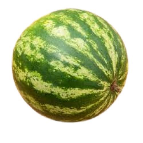 Common Tasty And Round Shape Sweet Green Watermelon