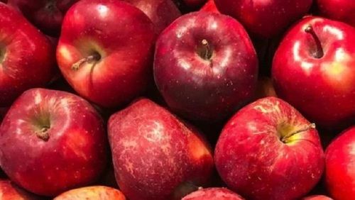 100% Organic Farm Fresh Healthy And Tasty Sweet Red Apple