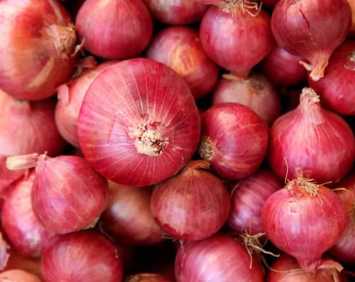 8% Moisture Natural And Fresh Round Raw Onion