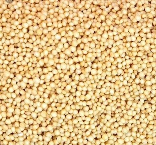 A Grade 99.9% Pure Agriculture Amaranth Rajgira Seeds For Consumption