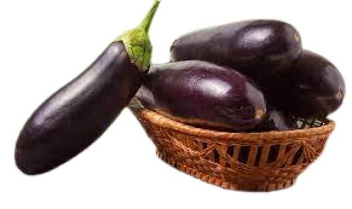 Healthy Long Shape Naturally Grown Fresh Brinjal