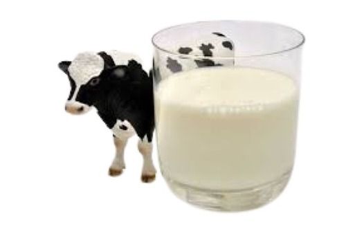 Hygienically Packed Original Flavor Raw White Cow Milk