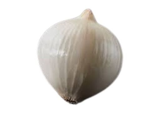 Naturally Grown Fresh Round White Onion