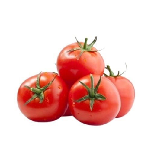 Naturally Grown Round Shape Raw Farm Fresh Tomatoes