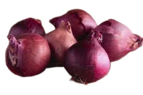 Naturally Grown Round Shape Raw Fresh Red Onion