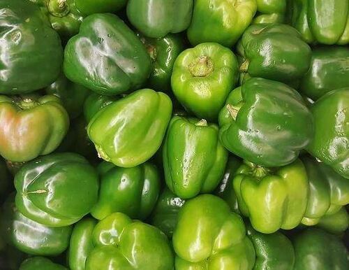 Pure And Natural Commonly Cultivated Whole Raw Capsicum