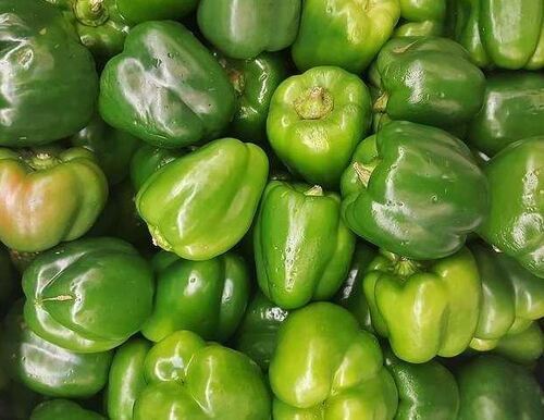 Pure And Natural Commonly Cultivated Whole Raw Capsicum Moisture (%): 5%