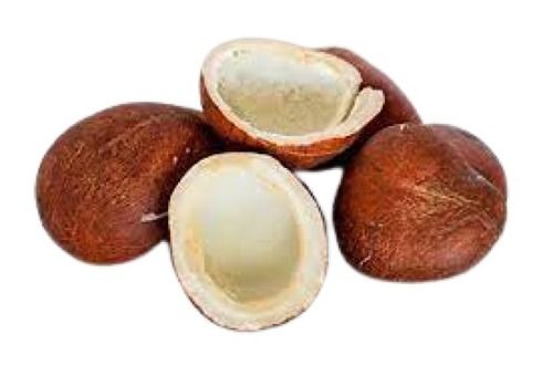 Common Brown Round Shape Medium Size Matured Dry Coconut