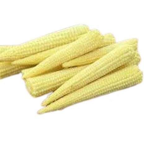 Commonly Cultivated 1005 Pure Medium Size Soft Farm Fresh Tasty Baby Corn
