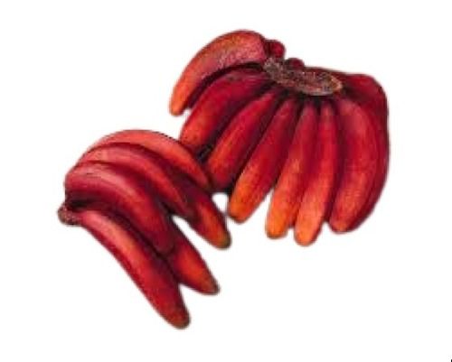 Common Medium Size Long Shape Sweet Taste Red Banana