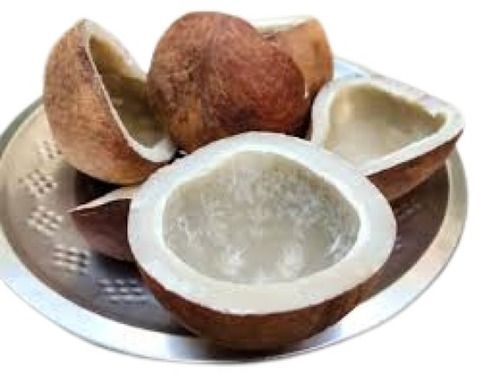 Medium Size Round Shape Brown Matured Dry Coconut 