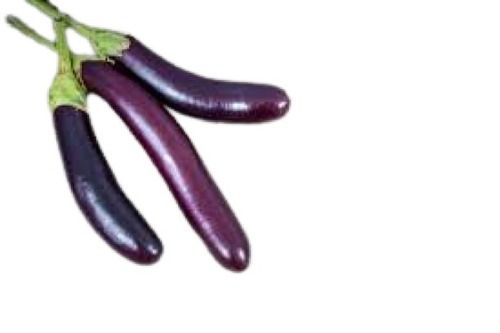 Tasty And Nutritious Naturally Grown Fresh Long Shape Brinjal Moisture (%): 92.7%