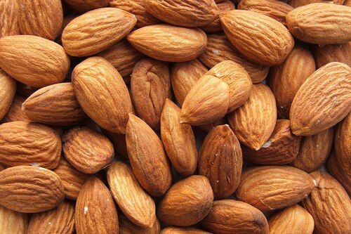 1.2 Inches Rich In Vitamins Dried Almond Nuts