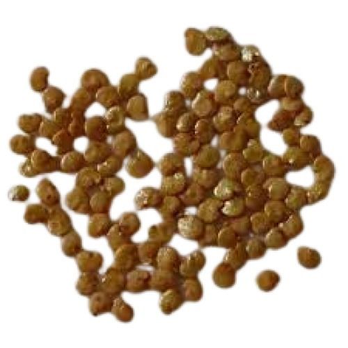 100% Pure A Grade Dried Brown Brinjal Seeds