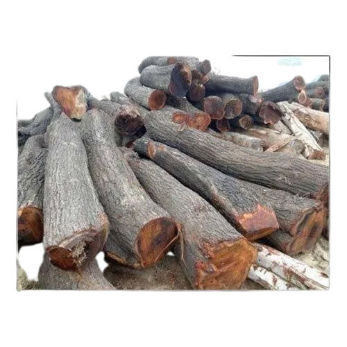 5 Cm Thick 10 Feet Babool Wood For Making Doors And Windows  Density: 835 Kilogram Per Cubic Meter (Kg/M3)