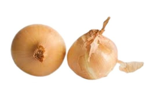 Authentic Farm Fresh Delicious Raw Brown Onions Moisture (%): 86%