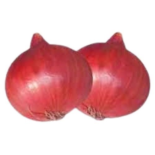 Naturally Grown Round Shape Fresh Onion