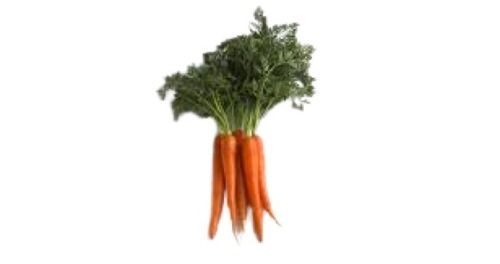 100 Percent Organic And Natural Farm Fresh Long Shape Carrot