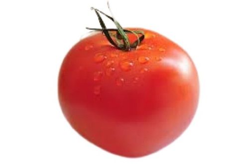 Farm Fresh Round Shape Raw Tomato