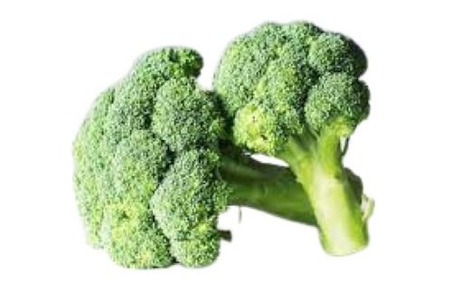 Naturally Grown Round Shape Fresh Green Broccoli  Moisture (%): 91.78%