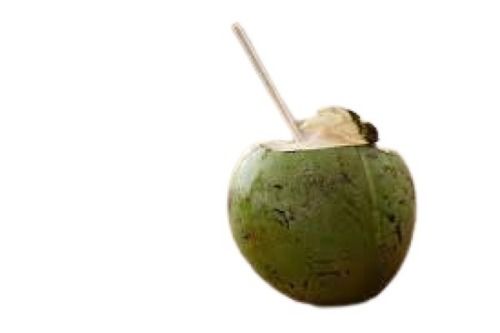 Whole Round Shape Young Fresh Green Coconut