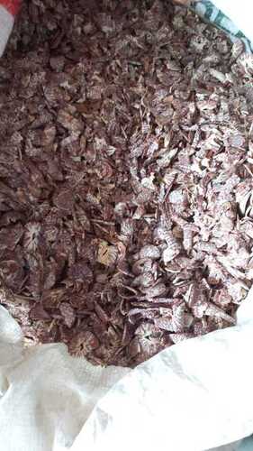 Dried Gini Betel Nuts Packaging Size 65Kg Broken (%): 14 Usd