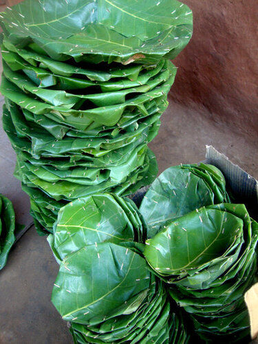 Leaf Bowl 