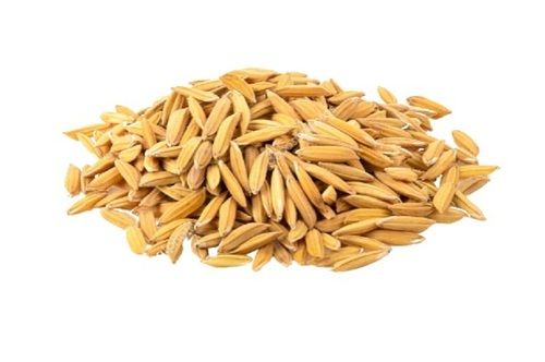  लंबे दाने का आकार आमतौर पर उगाया जाने वाला 100% शुद्ध सूखा धान चावल 