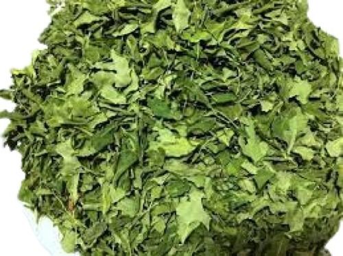 A Grade Natural Moringa Dried Leaves Ingredients: Herbal Extract