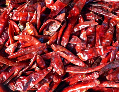 Earthy And Spicy Taste Pure Organic Natural Raw And Dried Red Chilli