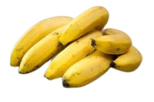 Indian Origin Fresh Long Shape Yellow Sweet Taste Banana