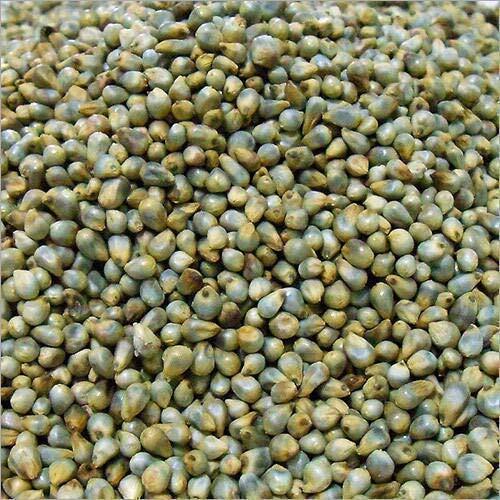 Organic pearl millet