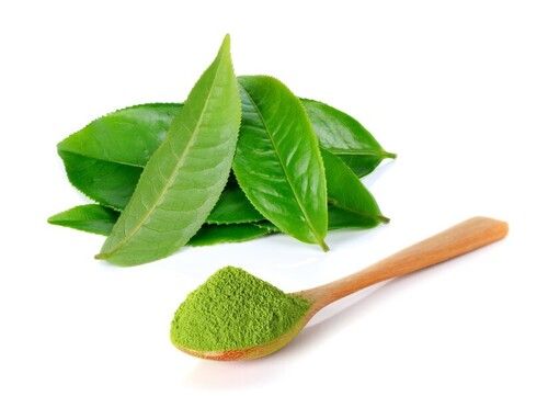 100% Pure And Organic Green Leave Tea Powder