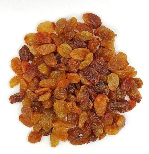 100% Pure Dry Golden Raisins Use In Food And Sweets