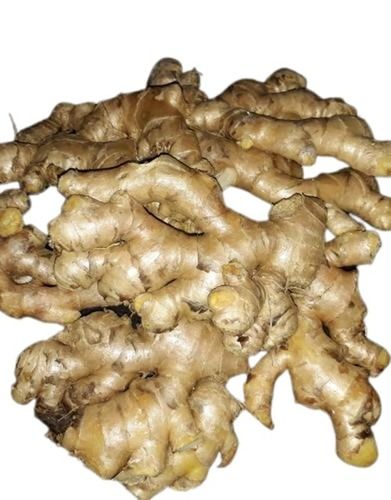 Commonly Cultivated Pure And Raw Whole Fresh Ginger