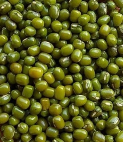 100% Dried Healthy Whole And Lentils Commonly Cultivated Mung Bean