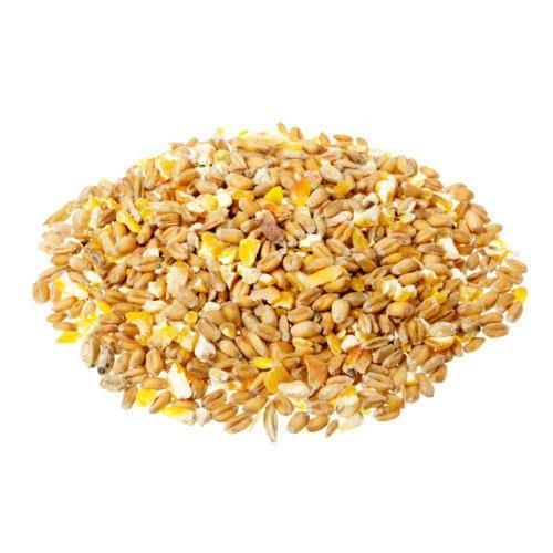 Premium Quality Commonly Cultivated A Grade Raw And Dried Cereal Grain